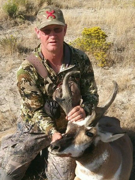 Pawelek pronghorn